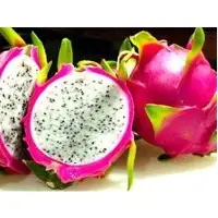 Dragon Fruit